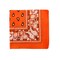 Unibasic Paisley 100% Cotton Bandana XL, head wrap, handkerchief - 10 Pack